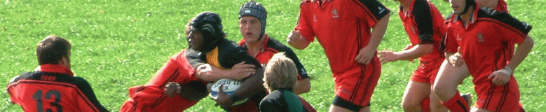 Cheltenham9Sep06web779x160b.gif